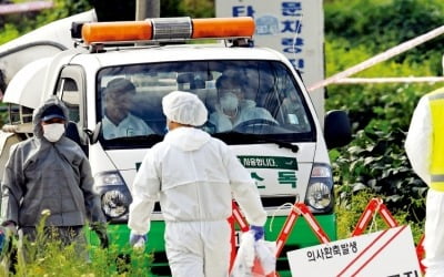 폐사율 100% '아프리카돼지열병', 한국에서도 발생 '비상'