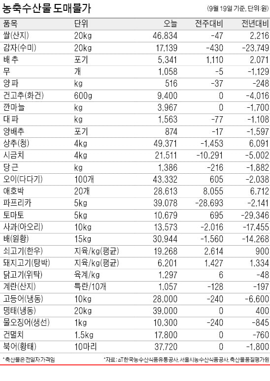 태풍 피해…무·배추값 오름세