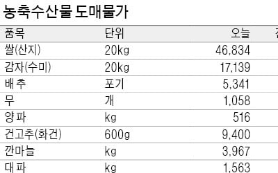 태풍 피해…무·배추값 오름세