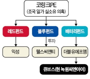 '조국 펀드·버닝썬 연루'…큐브스 前 대표 구속