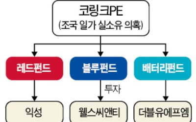 '조국 펀드·버닝썬 연루'…큐브스 前 대표 구속