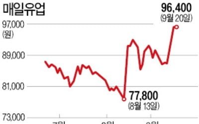 매일유업 '다각화 성공' 신고가…이미지 타격 못 벗은 남양 '뚝뚝'