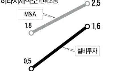 구조조정 끝낸 히타치, 미래산업 '풀 베팅'