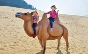 대청도 옥죽동 해안사구에서 어린이 관광객이 낙타 조형물에 올라 타 기념촬영하고 있다.   