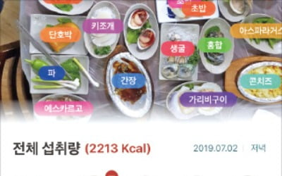 폰으로 찍으면 음식 종류·칼로리 '한눈에'…손안의 영양관리사