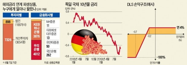 [뉴스의 맥] DLS 파문, 뒷북치기식 규제·처벌 강화가 능사는 아니다