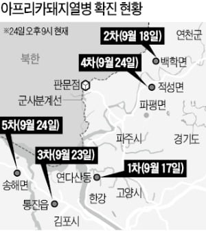 파주→연천→김포→강화·파주…돼지열병 급속 확산 "국가재난으로 간주"