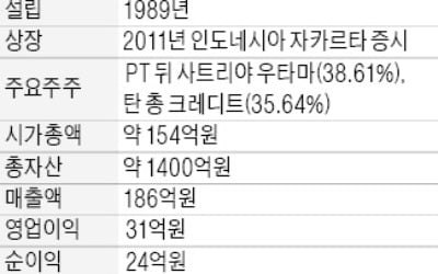 [마켓인사이트] 산은, 印尼 종금사 티파파이낸스 산다