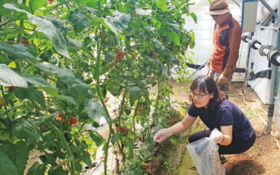 경기도, 軍급식에 접경지역 친환경농산물 공급…전국 최초