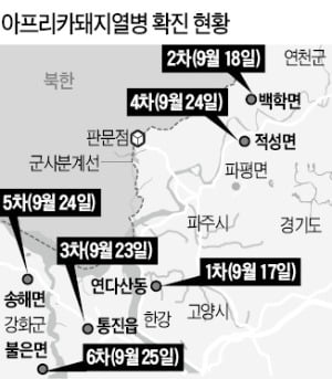 돼지열병, 경기북부 초토화…5만마리 살처분