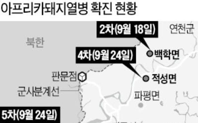 돼지열병, 경기북부 초토화…5만마리 살처분