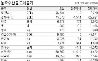 추석 대목 지나자 재고 쌓여…제철 과일 사과·배 가격 하락