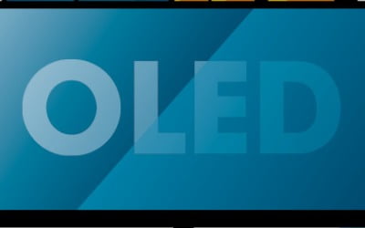 OLED 투자 급물살…노 젓는 소재·부품·장비株