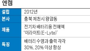 엔켐 '이라이트' "배터리 전해액 국산화…美·유럽으로 판로 확대"