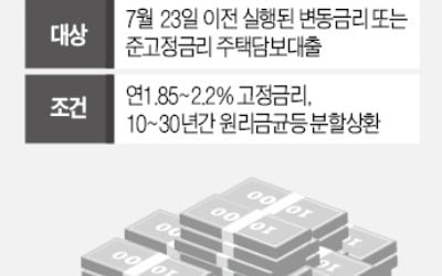 "안심대출 '집값 커트라인 2.1억'…추가공급 없다"