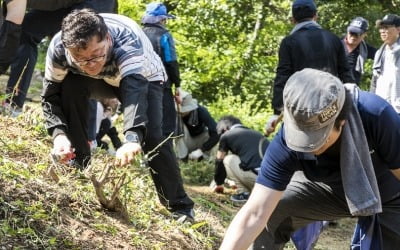 아주그룹, 창립 59주년 맞아 서울 중랑구 청남공원 숲 가꾸기 행사 진행