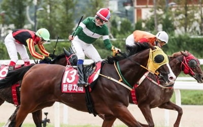 제4회 코리아컵 단거리·장거리서 한국 경주마 우승 싹쓸이