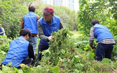 한국도레이사회봉사단, 샛강지킴이로 환경정화 활동 펼쳐
