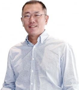 1년 만에 확 바뀐 현대차그룹…정의선 리더십 '통했다'