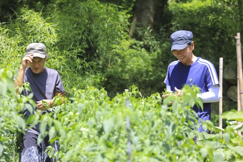 [도시탈출] 귀촌자들과 함께하는 '지리산 한 달 살기'