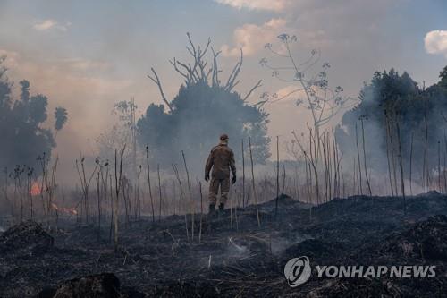 '아마존 산불' 트럼프의 브라질 편들기…보우소나루 SOS에 화답