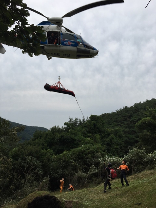 "벌 조심하세요" 경북서 벌에 쏘인 40대 사망(종합2보)