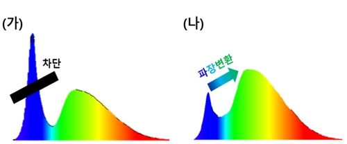 부경대 교수 "눈 보호 빛 효율 청색광 차단 필름 개발"