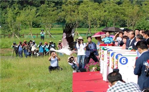 제13호 태풍 링링 북상에 첫 예산황새축제 연기