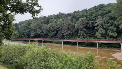 300m 길이 제천 의림지 수변 데크 임시개통