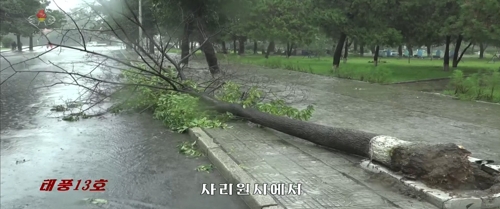 가로수 뽑히고 담장 무너지고…링링 북상에 北도 피해속출(종합2보)