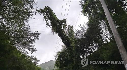 강풍에 경기북부 정전 속출…오후 3시 현재 24건