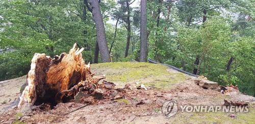 경남 태풍에 파손 문화재 현장 보존…피해 농가 복구작업