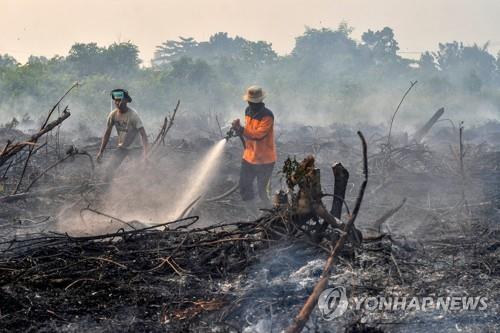 인니 '산불 연무' 태국 남부까지 덮어…말레이는 인공강우