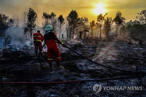 인니 '산불 연무' 태국 남부까지 덮어…말레이는 인공강우