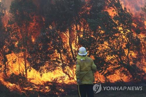 호주 동부서 이틀간 화재 140건…일부 방화 의혹