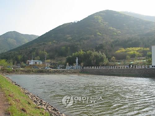 전국 최대 두꺼비 산란지 대구 망월지 '보존이냐' '개발이냐'