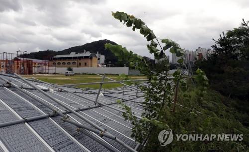 태풍 '링링'에 학교 432곳 피해…96%가 외벽마감재 등 손상