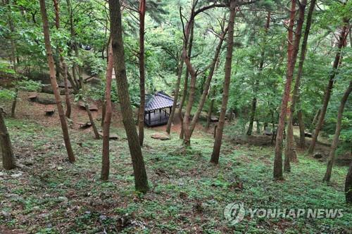 사유림 산주 216만명…소유 면적 평균 1.9ha