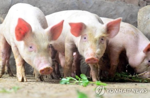 8월에 값 47% 폭등…中 큰 고민, 무역전쟁보다 '돼지고기 파동'