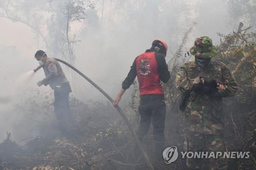 인도네시아 꺼지지 않는 산불에 '초대형 뱀'까지 불에 타