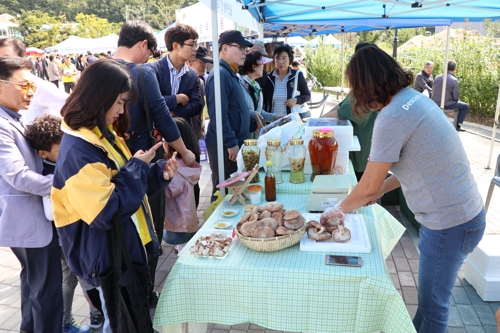 "자연산 버섯 맛보러 오세요"…영동 상촌면서 28일 버섯축제