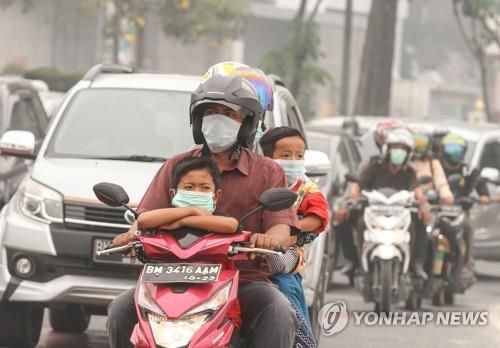 인도네시아, 산불발화 용의자 185명 체포…"천연림만 태워"