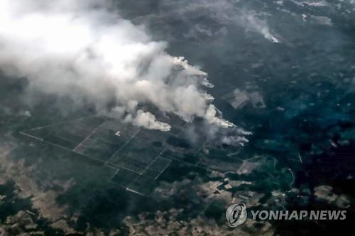 인도네시아, 산불발화 용의자 185명 체포…"천연림만 태워"