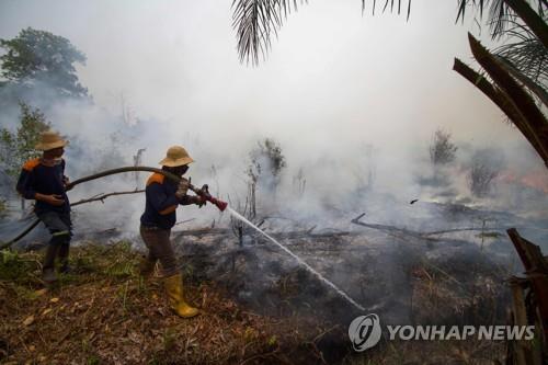 인도네시아, 산불발화 용의자 185명 체포…"천연림만 태워"