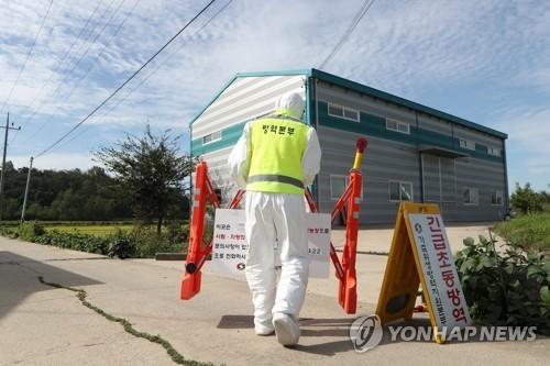 '구제역 트라우마' 경기남부 시군, 돼지열병에 방역 비상