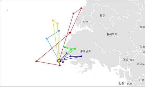 "백령도 괭이갈매기, 북한서 번식기 먹이활동·中까지 이동"