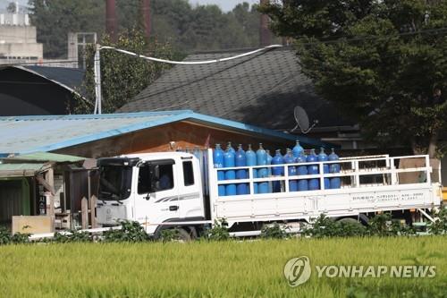 파주 ASF 발생 역학관계 농가 123곳…"늘어날 수도"