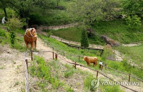 낙동강 발원지 태백 황지연못서 황부자 며느리 축제