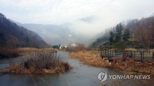 춘천 소양강댐 '가마골 생태공원' 2개월간 임시개방