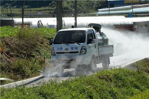 충남 돼지열병 역학 축산시설 13곳 정밀검사서 '음성'